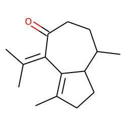 zierone(elleryone)