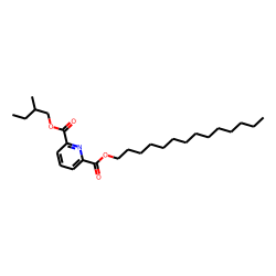 2,6-Pyridinedicarboxylic acid, 2-methylbutyl tetradecyl ester