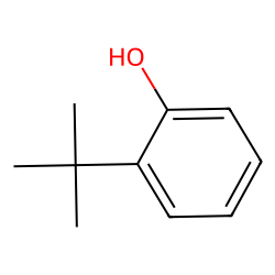 2-t-Butylphenol