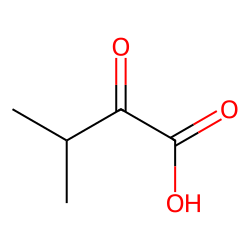 3-Methyl-2-oxobutanoic acid
