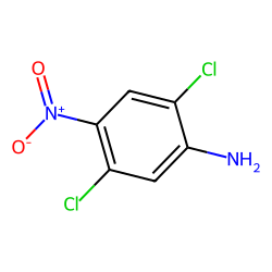 Benzenamine, 2,5-dichloro-4-nitro-