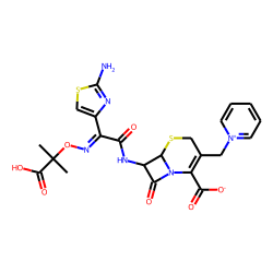 Ceftazidime