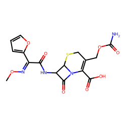 cefuroxime acid