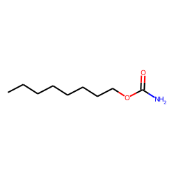 n-octyl carbamate