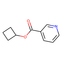 Nicotinic acid, cyclobutyl ester