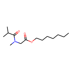 Sarcosine, N-isobutyryl-, heptyl ester