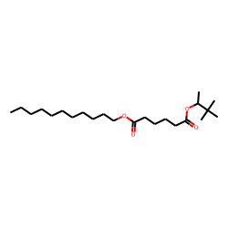 Adipic acid, 3,3-dimethylbut-2-yl undecyl ester