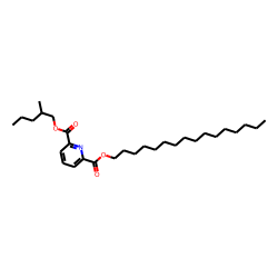 2,6-Pyridinedicarboxylic acid, hexadecyl 2-methylpentyl ester