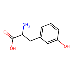 DL-3-hydroxyphenylalanine