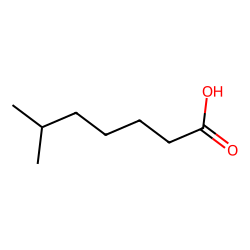 6-methylheptanoic acid