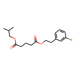 Glutaric acid, 2-(3-bromophenyl)ethyl isobutyl ester