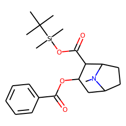 Benzoylecgonine, tert-butyldimethylsilyl ester
