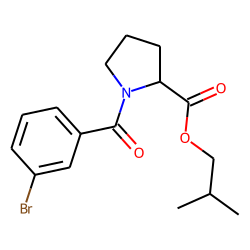 L-Proline, N-(3-bromobenzoyl)-, isobutyl ester