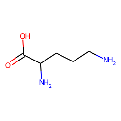dl-Ornithine