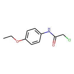 2-Chloro-p-acetophenetidide