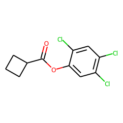 Cyclobutanecarboxylic acid, 2,4,5-trichlorophenyl ester