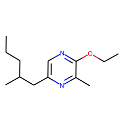 Pyrazine, 2-ethoxy-3-methyl-5-(2-methylpentyl)