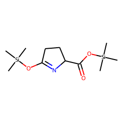 Pyroglutamic acid, TMS