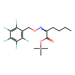 2-ketohexanoic acid PFBO-TMS