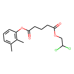 Glutaric acid, 2,2-dichloroethyl 2,3-dimethylphenyl ester