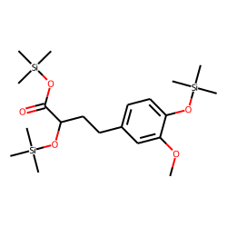 Benzenebutanoic acid, «alpha»,4-dihydroxy-3-methoxy, tris-TMS