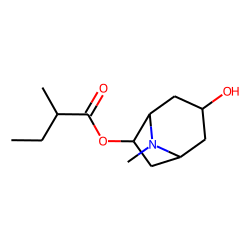 6-(2-Methylbutyroxy)-tropan-3-ol