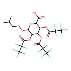 Isopentyl glucuronide, PFP