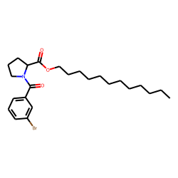 L-Proline, N-(3-bromobenzoyl)-, dodecyl ester