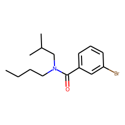 Benzamide, 3-bromo-N-butyl-N-isobutyl-