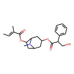 6-Tigloyloxyhyoscyamine