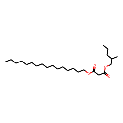 Malonic acid, 2-methylpentyl hexadecyl ester