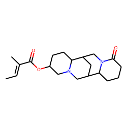 13«alpha»-Angelolyoxylupanine