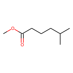 Hexanoic acid, 5-methyl-, methyl ester