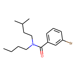 Benzamide, 3-bromo-N-butyl-N-3-methylbutyl-