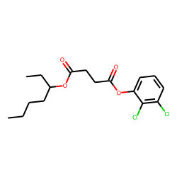 Succinic acid, 2,3-dichlorophenyl 3-heptyl ester