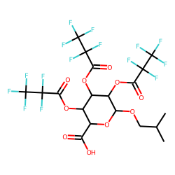 Isobutyl glucuronide, PFP