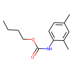 Carbamic acid, 2,4-dimethylphenyl, butyl ester