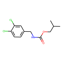 Isobutylcarbamate, N-(3,4-dichlorobenzyl)