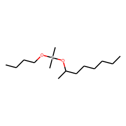 Silane, dimethyl(2-octyloxy)butoxy-