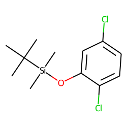 2,5-Dichlorophenol, tert-butyldimethylsilyl ether