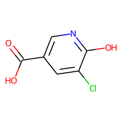 5-Chloro-6-hydroxynicotinic acid