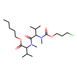 DL-Valyl-DL-Valine, N,N'-dimethyl-N'-(3-chloropropoxycarbonyl)-, pentyl ester