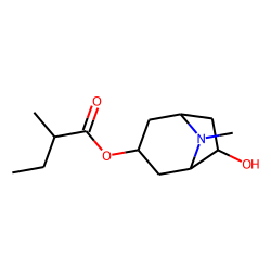 3-(2-methylbutyryloxy)-6-hydroxytropane