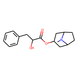 Littorine
