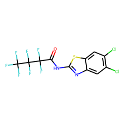 N-(5,6-Dichloro-1,3-benzothiazol-2-yl)-2,2,3,3,4,4,4-heptafluorobutanamide