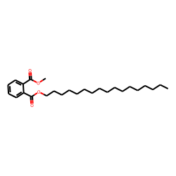 Heptadecyl methyl phthalate