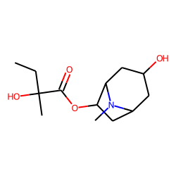 6-(2-Hydroxy-2-methylbutyroxy)-tropan-3-ol