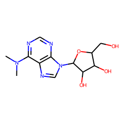 N6,N6-Dimethyladenosine
