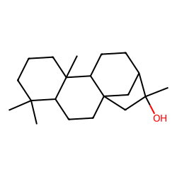 phyllocladanol