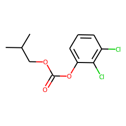 Carbonic acid, 2,3-dichlorophenyl isobutyl ester